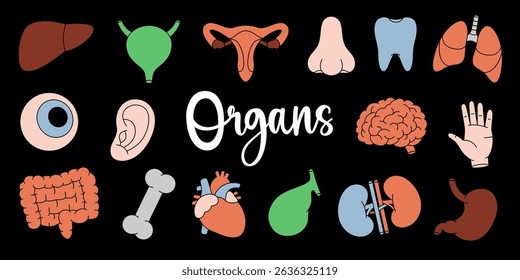 Human internal organs. Heart, kidneys, gallbladder, intestines, tooth, brain, lungs, stomach, liver, eye, hand, nose, bone, ear, bladder.