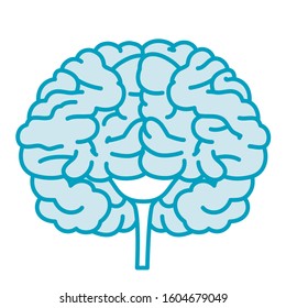 Human internal organs icon illustration 
brain