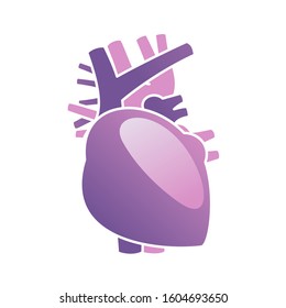 Human internal organs icon illustration