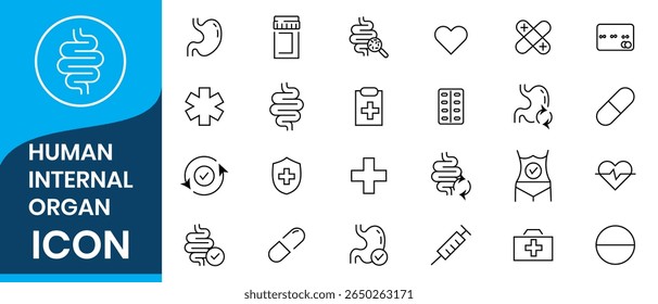 Human Internal Organs icon. Organ, Respiratory Health, Urinary Health, Inner Vitality, Organ Wellness, Immune Health, Digestive System, Digestive Health, Respiratory System, Body Vitality.