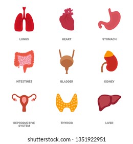 Human internal organs icon set. Vector illustration in cartoon style isolated on white background. Eps 10