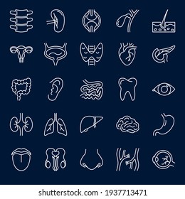 Human Internal Organs Icon Set In Thin Line Style. Medical Symbols Collection. Vector Illustration.