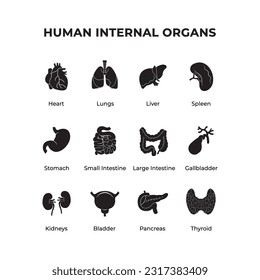 Human internal organs icon set. Vector illustration
