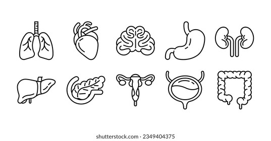Human internal organs icon set, line art style illustration