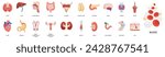 Human internal organs icons set. Lungs, kidneys, stomach, brain, heart, skin. Vector flat illustration
