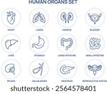 Human Internal Organs Icons Set. Heart, Lungs, Liver, Stomach, Intestines, Kidneys, and More