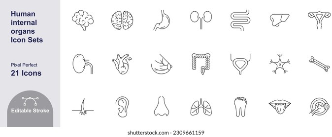 Human internal organs icons set with stomach, kidney, urinary, eyeball, muscle, liver, bone, lung, neuron stroke outline editable