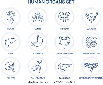 Human Internal Organs Icons Set. Heart, Lungs, Liver, Stomach, Intestines, Kidneys, and More