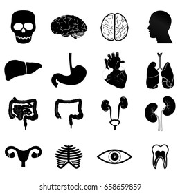 Human internal organs icons set isolated on White. Vector illustration