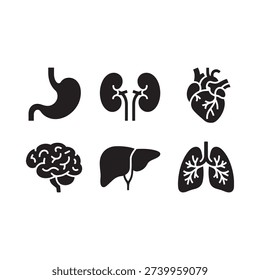 Human internal organs illustration stomach kidneys heart brain liver and lungs