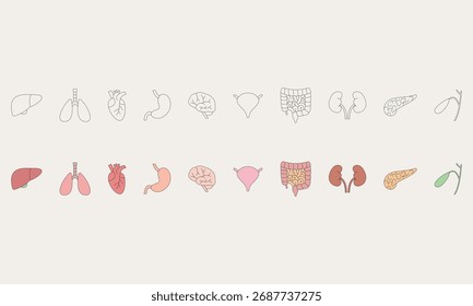 Os órgãos internos humanos incluem fígado, pulmões, coração, estômago, cérebro, bexiga, intestinos, rins, pâncreas, vesícula biliar. Tema de saúde. Conjunto de ícones. Ilustração vetorial.