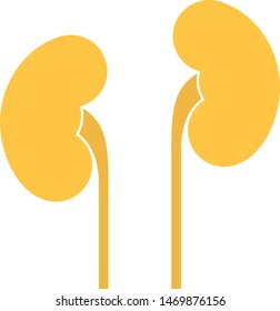 Human internal organs: kidneys and ureters. Vector image. Flat design