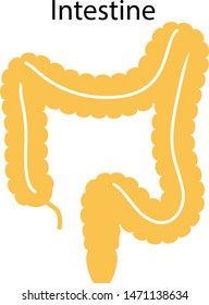 Human internal organs: large intestine and appendix. Vector illustration. Flat design.