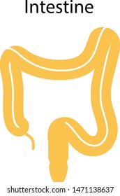 Human internal organs: large intestine and appendix. Vector illustration. Flat design.