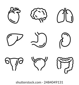 Human internal organs line icon set. Hand drawn doodle style symbols, black and white drawing. Isolated vector clip art illustration.