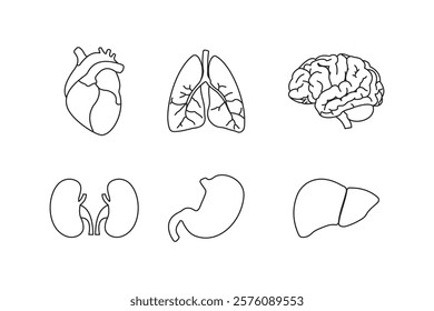 Human Internal Organs Line Icon Set, Anatomy Outline Illustration Collection