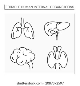 Icons der inneren Organe des Menschen setzen. Lungen, Leber, Gehirn und Schilddrüse. Medizinische Behandlung.Gesundheitskonzept.Einzelne Vektorgrafik.Bearbeitbarer Schlaganfall