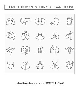 Human internal organs line icons set. Necessary body part. Medical treatment.Health concept.Isolated vector illustration.Editable stroke