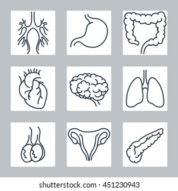 Human internal organs line icons set. Vector illustration