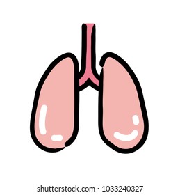 Human internal organs: lung
