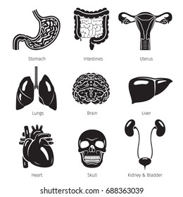 Human Internal Organs Objects Icons Set, Monochrome, Physiology, Structure, Medical Profession, Morphology, Healthy