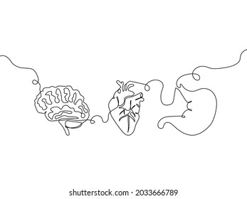 Human Internal Organs One Line Set Stock Vector (Royalty Free ...