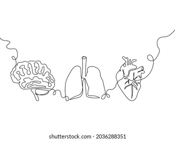 Human Internal Organs One Line Set Stock Vector (Royalty Free ...