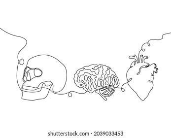 Human internal organs one line set art. Continuous line drawing of bones, skeleton, skull, heart, aorta, ventricles, brain, cerebellum.