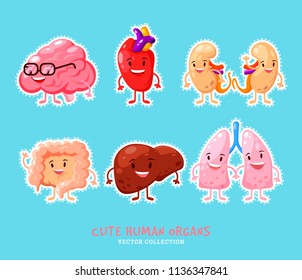 Diseño de parches de órganos internos humanos. Divertidos stickers de órganos humanos. Riñones, hígado. Corazón, cerebro y pulmones. Con asas, piernas y sonrisas. Huella anatómica divertida. Juego de parches para la educación infantil.