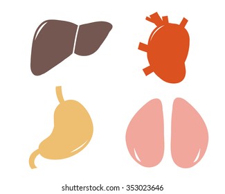 human internal organs set: heart, liver, lungs, stomach.  illustration in vector format