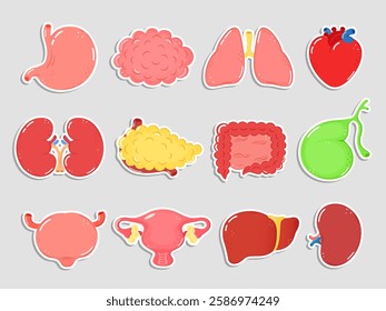 Human internal organs stickers. Cartoon human organ heart, liver, stomach, lungs, kidneys, pancreas, intestines, bladder, uterus, brain, spleen, bone, gallbladder. Internal organs stickers set