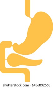 Human internal organs: Stomach and Pancreas. Flat design. Vector image