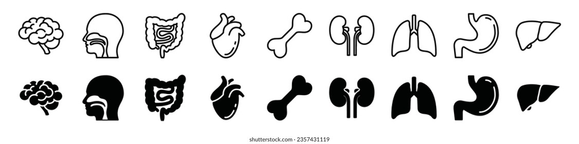 Human internal organs thin line icons set. Bone, brain, throat, intestine, heart, kidney, lungs, stomach, liver icon symbol in line and flat style on white background. Vector illustration