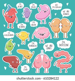 Human internal organs. Vector cute smiling organs stickers set. Heart, lungs, kidneys, liver, stomach, bladder, pancreas, gallbladder, intestine