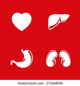 Human internal organs vector icons set.