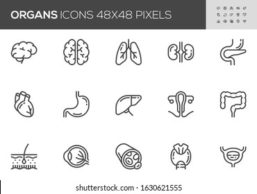 Human Internal Organs Vector Line Icons Set. Anatomy, Brain, Heart, Bladder, Blood Vessel. Editable Stroke. 48x48 Pixel Perfect.