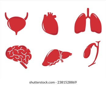 Human internal organs. Vector sketch isolated illustration. Hand drawn doodle anatomy symbols set.Reproductive system, lungs,liver,intestine,stomach,pancreas,kidney,uterus,intestine,galbladder	