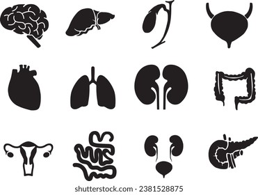 Innere menschliche Organe. Vektorgrafik, einzelne Illustration. Handgezeichnete Anatomie-Symbole.Fortpflanzungssystem, Lunge, Leber, Darm, Magen, Bauchspeicheldrüse, Nieren, Uterus, Darm, Galblase	