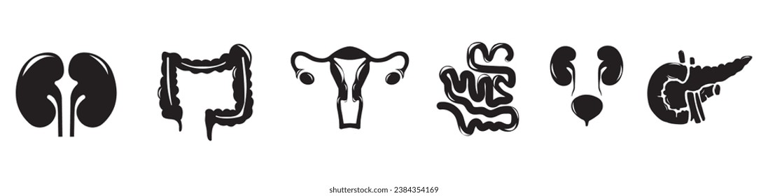 Human internal organs. Vector sketch isolated illustration. Hand drawn doodle anatomy symbols set.Reproductive system, lungs,liver,intestine,stomach,pancreas,kidney,uterus,intestine,galbladder	