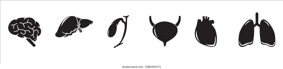 Human internal organs. Vector sketch isolated illustration. Hand drawn doodle anatomy symbols set.Reproductive system, lungs,liver,intestine,stomach,pancreas,kidney,uterus,intestine,galbladder	