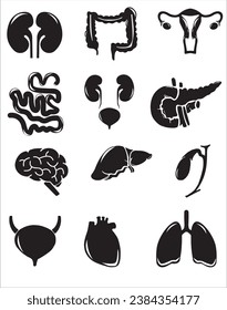 Human internal organs. Vector sketch isolated illustration. Hand drawn doodle anatomy symbols set.Reproductive system, lungs,liver,intestine,stomach,pancreas,kidney,uterus,intestine,galbladder	
