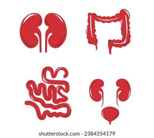 Innere menschliche Organe. Vektorgrafik, einzelne Illustration. Handgezeichnete Anatomie-Symbole.Fortpflanzungssystem, Lunge, Leber, Darm, Magen, Bauchspeicheldrüse, Nieren, Uterus, Darm, Galblase	