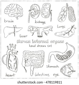 Human internals doodle set. Vintage illustration for identity, design, decoration, packages product and interior decorating