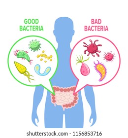 Ilustración vectorial de la flora intestinal humana. Visualización intestinal buena y mala de bacterias. Imagen informativa de la flora intestinal humana.