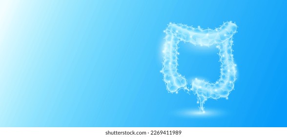 Anatomía intestinal humana forma triángulos de línea que se conectan sobre fondo azul. Futurista holograma de órgano brillante blanco translúcido y espacio de copia para texto. Concepto médico anatómico. Vector de diseño moderno