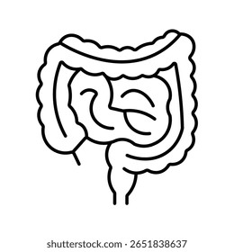 Sistema digestivo do intestino humano anatomia do órgão ícone da linha interna do corpo ilustração do vetor para o projeto de educação da ciência da biologia médica do sistema de saúde.