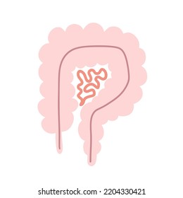 The human intestine. Gastroenterologist. Vector illustration in a flat 