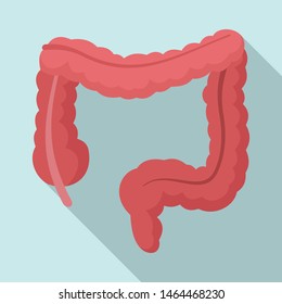 Human intestine icon. Flat illustration of human intestine vector icon for web design