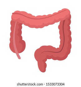 Human intestine icon. Flat illustration of human intestine vector icon for web design