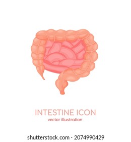 Human intestine icon. Healthy tract of digestive system, gut, bowel canal. Internal anatomical organ. Vector illustration isolated on white background for medical clinic, hospital healthcare apps.